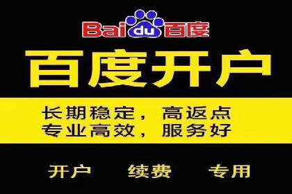 SEM竞价代运营公司成功案例分析